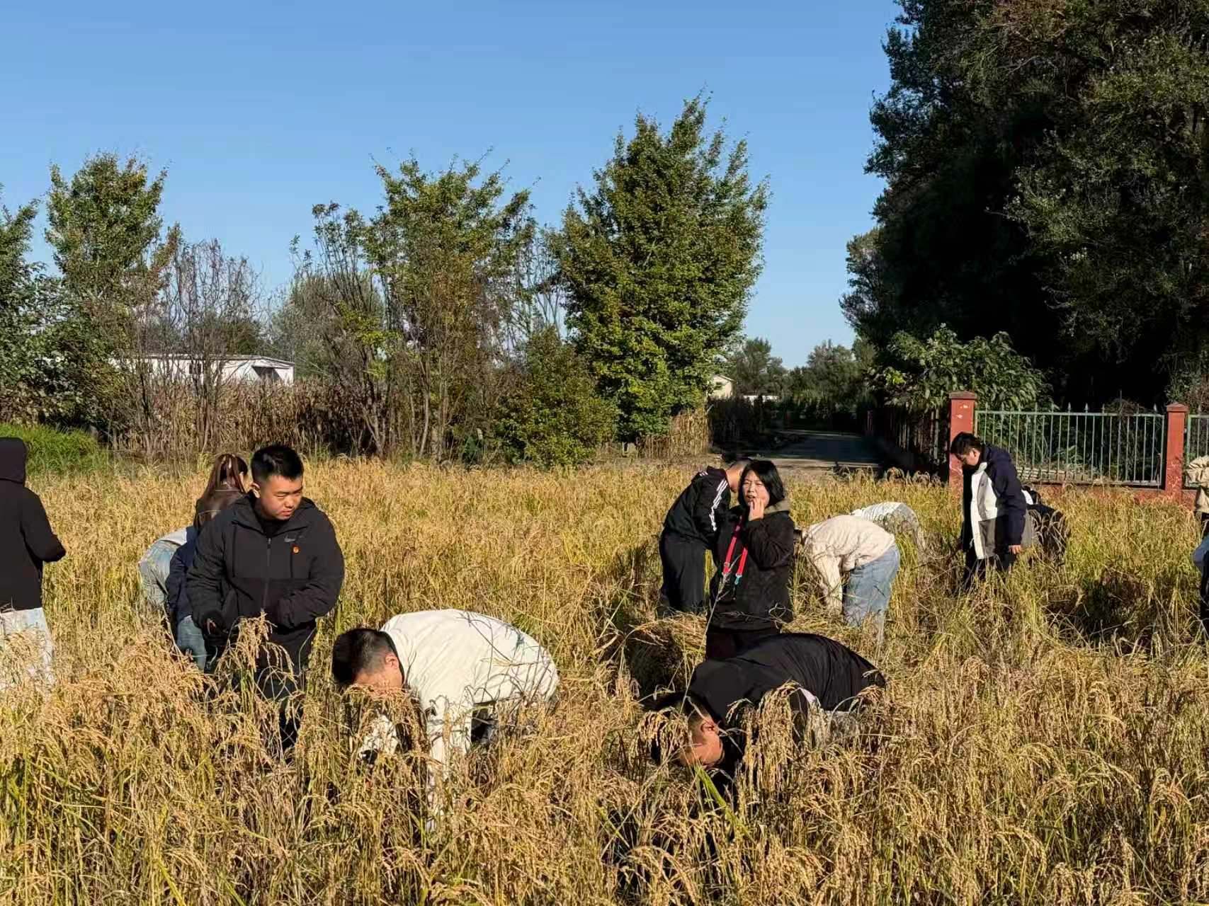 3317f0214ae24fab829e656342d808ba.jpg 3317f0214ae24fab829e656342d808ba.jpg